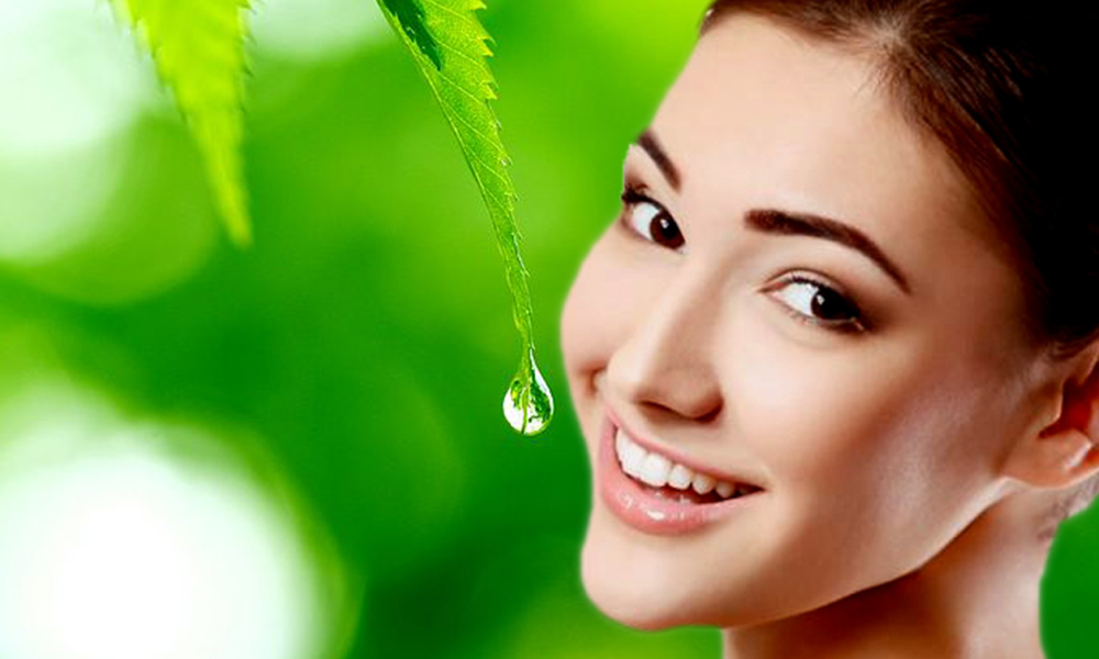 Homemade beauty tips for face Herbal beauty Receipes